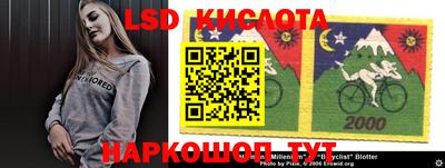 дживик Бийск
