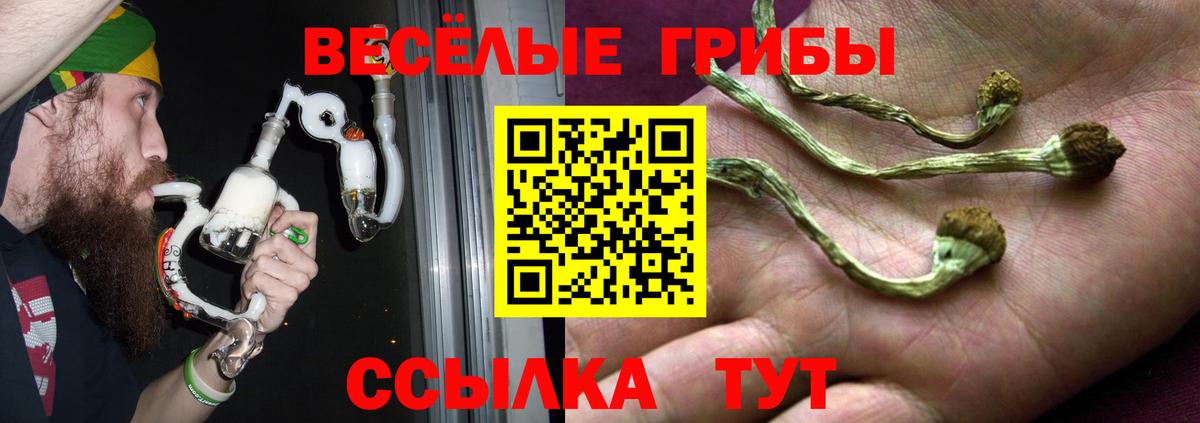 Балаково  Псилоцибиновые грибы Magic Shrooms  Вход с VPN 